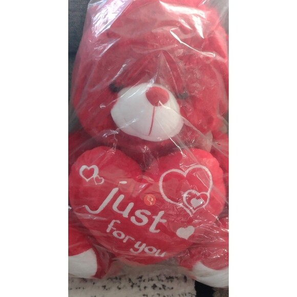 Valentine's Teddy Bear Plush - Picture 1 of 5